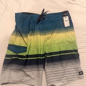 Gradient Blue and Green Board Shorts size 34